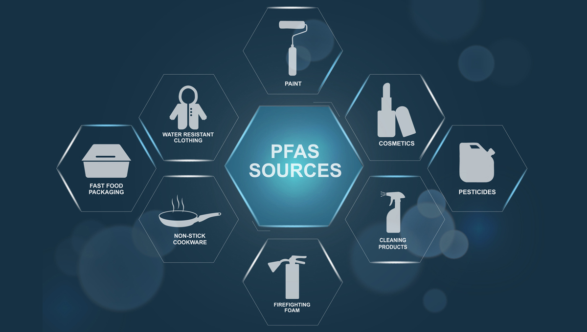 An explainer graphic showing the pathways of PFAS contamination